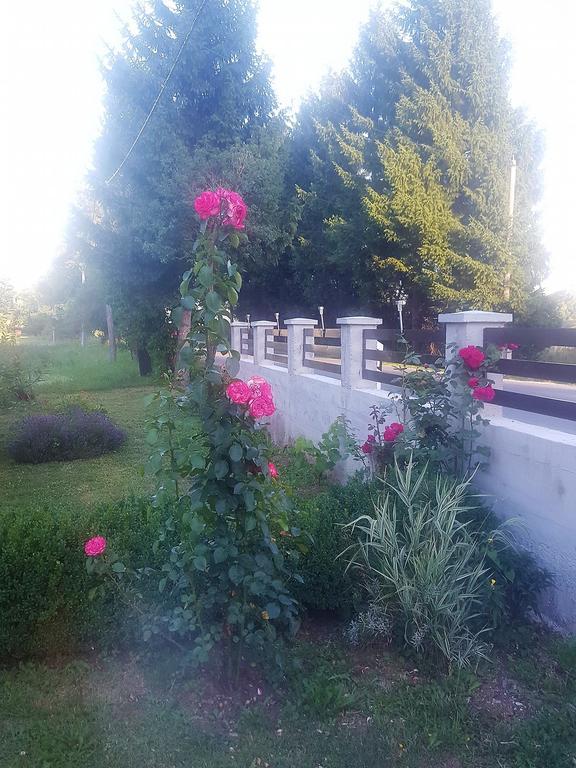 Guesthouse Samolov Vrhovine Kültér fotó