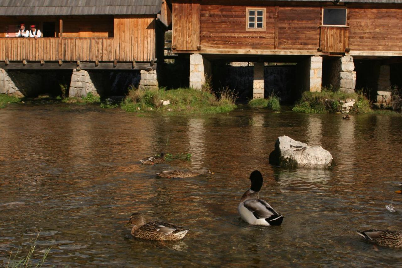 Guesthouse Samolov Vrhovine Kültér fotó