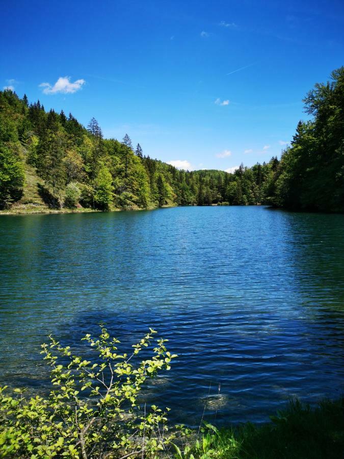 Guesthouse Samolov Vrhovine Kültér fotó